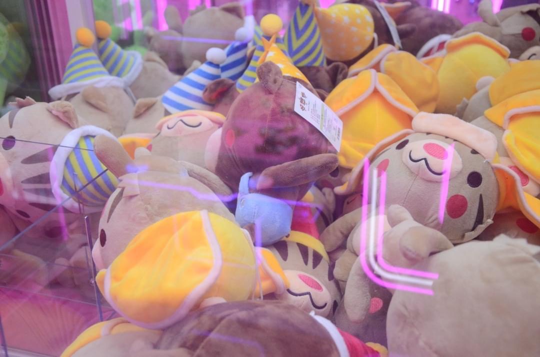 Kinh doanh máy gắp thú bông Kinh doanh máy gắp thú bông